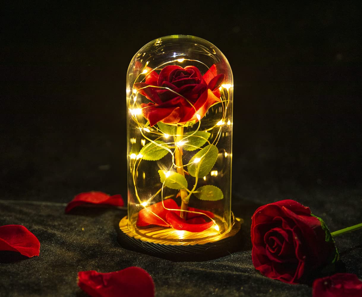 AGGUT Beauty and The Beast Rose,Forever Rose,Artificial Flower Gift Romantic Red Silk Rose,Flower in Glass Dome Women Gifts for Her,Wife,Mom,Valentines,Anniversary