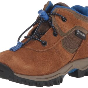 Timberland Kids Toddler Mt. Maddsen TimberDry Waterproof Hiking Boot, Medium Brown Suede, 5 US Unisex