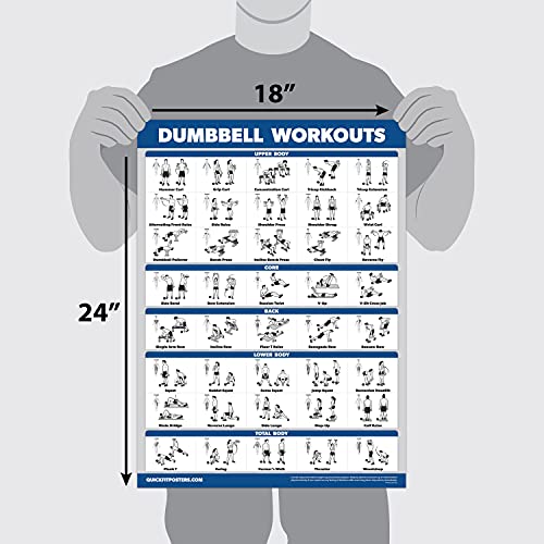 Palace Learning 3 Pack - Dumbbell Workouts + Barbell Exercises + Cable Machine Workouts - Set of 3 Workout Charts (LAMINATED, 18” x 24”)