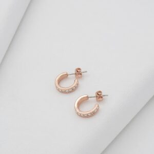 Ted Baker Seenita Nano Hoop Huggie Earrings - Rose Gold, Gold or Silver Tone Options