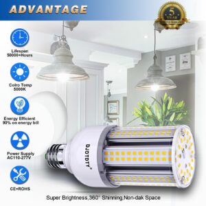 DJDTDTY Amazon High Brightness LED Light Bulb 2 Pack 30W-300W/LED Corn Bulb, 30 watt LED Corn Bulb, E26 Base, 5000K LED Bulb, Suitable for Garage Warehouse Workshop barn, Home Essential, etc. (30W)