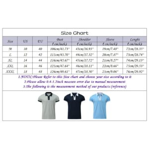 Men's Classic Short Sleeve Polo Shirt Zip Up Casual Summer Slim Fit T-Shirts Striped Graphic Printed Tops Beach Tees Gray