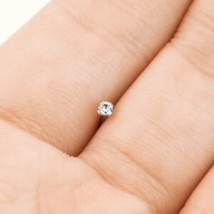 Pierced Owl 18-20GA G23 Implant Grade Titanium Prong Set CZ Crystal L-Bend Nose Stud (20GA (0.8mm))