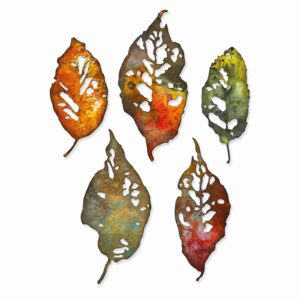 Sizzix Thinlits Die Set 5PK Leaf Fragments by Tim Holtz, 665559