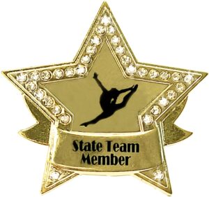 snowflake designs state team member gymnastics pin - #1221