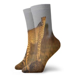 gultmee safari funky colorful cushion sport socks,african wild animal cheetah standing on,athletic cushioned running performance crew socks for men/women,ginger apricot dust -12 inch