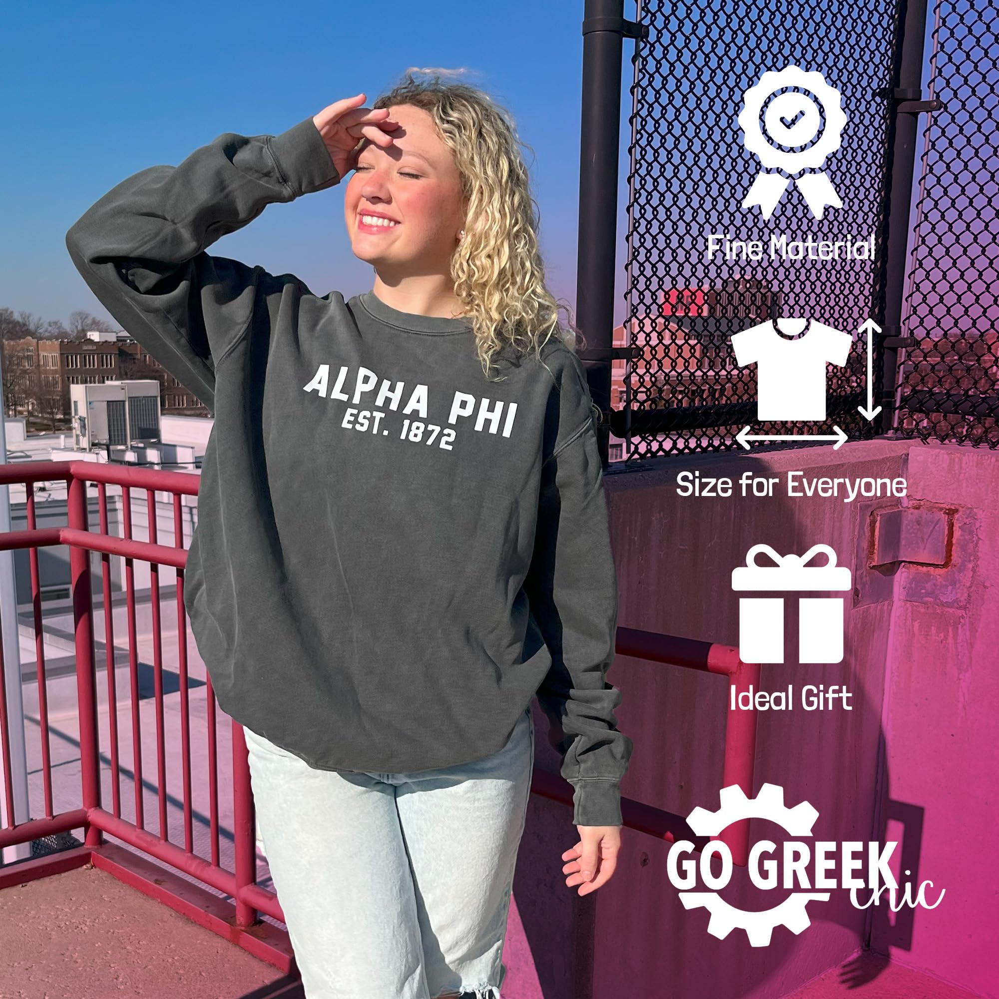 Delta Gamma Est. 1873 Sweatshirt (Small) Grey