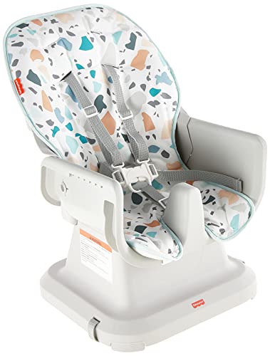 Fisher-Price Baby to Toddler High Chair SpaceSaver Simple Clean Portable Dining Seat & Booster with Washable Deep Tray & Liner, Pacific Pebble