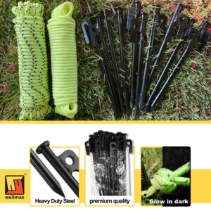 Wellmax 10PC Heavy Duty Tent Stakes with 2PC Glow in Dark Rope 3/16" x50ft and 1/4" x50ft (Black)