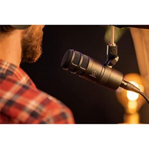 Audio-Technica AT2040 Hypercardioid Dynamic Podcast Microphone (at 2040), XLR,Black