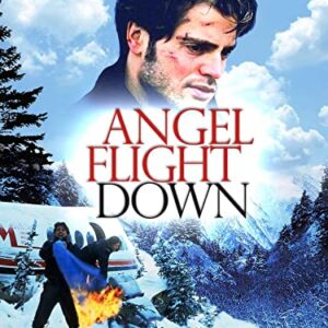 Angel Flight Down