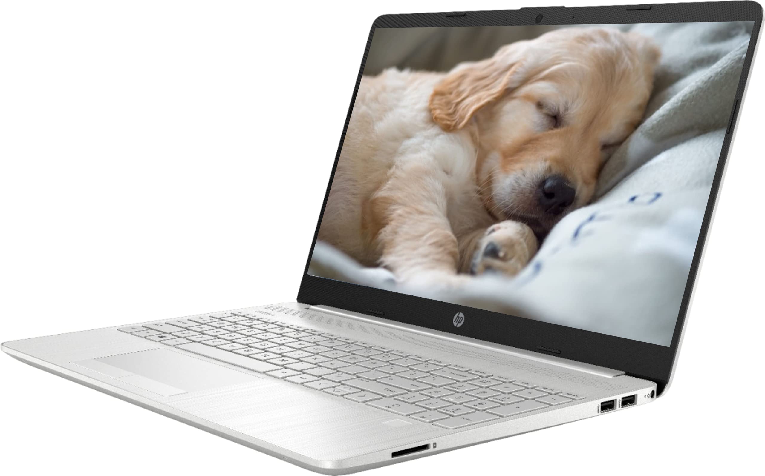 HP Newest 15 Business Laptop, 11th Gen Intel Core i3-1115G4, 15.6" FHD IPS Display, 8GB RAM, 256GB SSD, Wi-Fi 5, Bluetooth, HDMI, Fingerprint reader, Windows 10 Pro | 32GB TELA USB Card