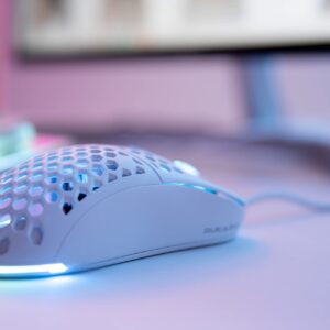 Rukario Ronin X PC Gaming Mouse (Arctic White, Wired) - Ultra LightWeight Symmetrical Honeycomb Shell | RGB Led | PTFE Glides | Pixart 3360 Sensor | 6 Buttons | Weight 63G | Adjustable Settings