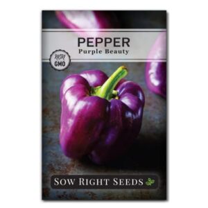 sow right seeds - purple beauty pepper seeds for planting - non-gmo heirloom packet with instructions to plant and grow an outdoor home vegetable garden - sweet bell variety, violet purple (1)