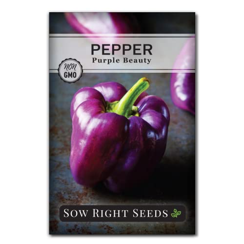 Sow Right Seeds - Purple Beauty Pepper Seeds for Planting - Non-GMO Heirloom Packet with Instructions to Plant and Grow an Outdoor Home Vegetable Garden - Sweet Bell Variety, Violet Purple (1)