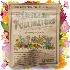 wildflower seeds bulk, 2 oz. 80,000+ seeds, drought-tolerant wildflower mix, 20 varieties of drought-tolerant wildflower seeds, drought-resistant wildflower seeds, dryland pollinators flowers seeds