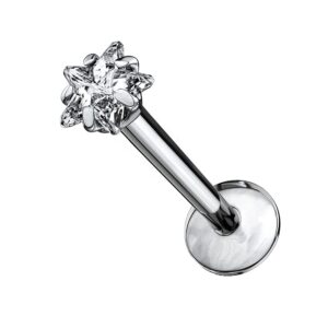 Pierced Owl 16GA G23 Implant Grade Titanium Prong Set Star Shaped CZ Crystal Internally Threaded Lip Cartilage Stud (6mm Barbell)