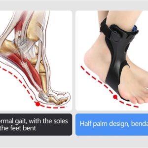 GFBHD Foot Drop orthosis Drop Foot Brace Orthosis Ankle Support Drop Orthosis Rehabilitation Use After Ankle Injury and Fracture (Color : Right Foot, Size : M)