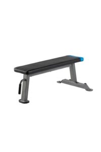 proform carbon strength flat bench