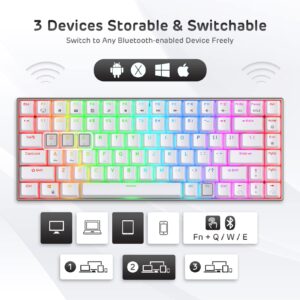 RK ROYAL KLUDGE RK84 Pro RGB 75% Triple Mode BT5.0/2.4G/USB-C Hot Swappable Mechanical Keyboard, 84 Keys Wireless Gaming Keyboard with Aluminum Frame, Clicky Blue Switch