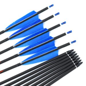 12pc Custom Length Carbon Arrows for 15-95 Lb Compound Bow ID 6.2mm .244" 22-33 Inch Spine 250 300 340 400 500 600 700 800 Target Practice & Hunting Arrow Adult Youth Shooting