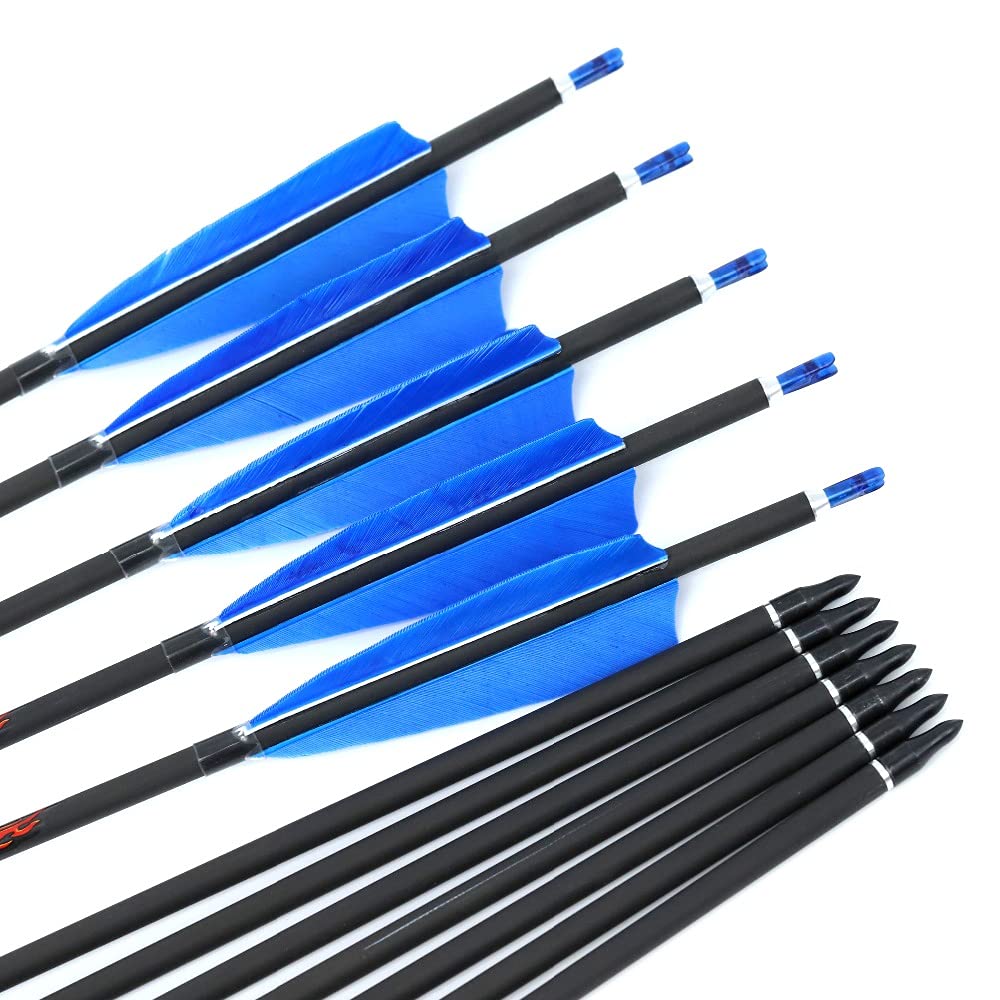 12pc Custom Length Carbon Arrows for 15-95 Lb Compound Bow ID 6.2mm .244" 22-33 Inch Spine 250 300 340 400 500 600 700 800 Target Practice & Hunting Arrow Adult Youth Shooting