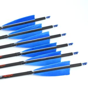 12pc Custom Length Carbon Arrows for 15-95 Lb Compound Bow ID 6.2mm .244" 22-33 Inch Spine 250 300 340 400 500 600 700 800 Target Practice & Hunting Arrow Adult Youth Shooting