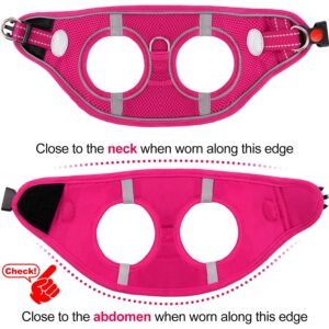 Joytale Small Dog Harness, Breathable Mesh Step-in Vest Harness, Reflective Soft Padded Harnesses for Small and Medium Dogs, Hot Pink, M