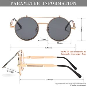 HJSTES Round Flip Up Sunglasses for Men Women Circle Rave Glasses 90's Vintage Steampunk Style(Gold/Grey)