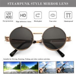 HJSTES Round Flip Up Sunglasses for Men Women Circle Rave Glasses 90's Vintage Steampunk Style(Gold/Grey)