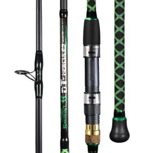 Sougayilang Surf Spinning Fishing Rod Carbon Travel Surf Rod 2 Piece Spinning Fishing Rod for Beach Saltwater Surf Rod 12ft(9'/10'/11'/12'