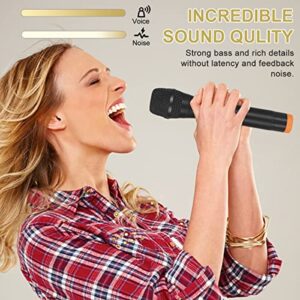 ALPOWL Wireless Microphone, UHF Dual Cordless Dynamic Mic System,Handheld Karaoke Microphone with Rechargeable Receiver(Auto Connect,200 ft Range) for Singing, Church, Speech, Wedding, Party