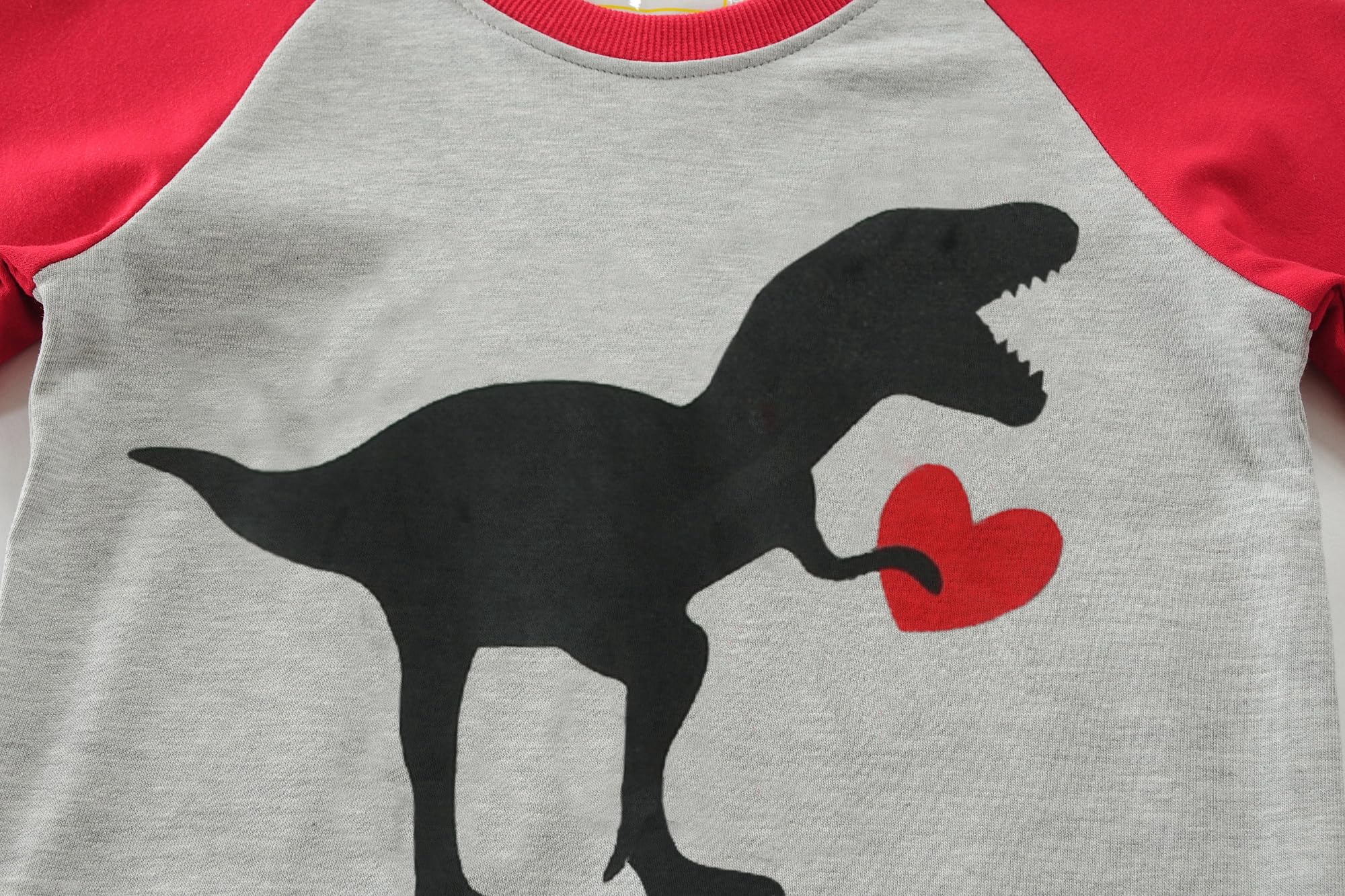 Little Hand Toddler Boys Valentine's Day Clothes Dinosaur Sweatshirt Pullover Long Sleeve Shirts 3t