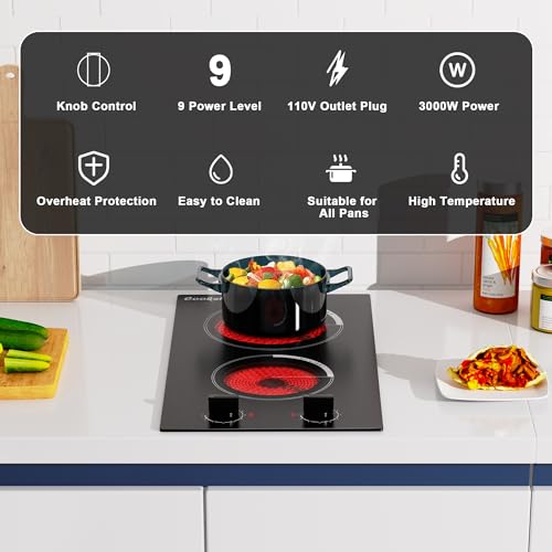 Cooksir 2 Burner Electric Cooktop 12 inch, 3000W Electric Stove Top 220-240V, Built-in Electric Stovetop with 9 Power Level, Knob Control, Auto Shut Down Protection, Hard Wired (No Plug)