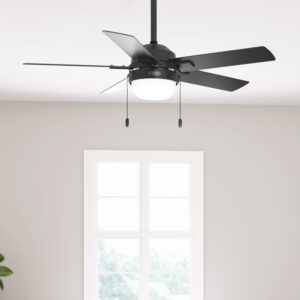 Hunter Fan Company 51455 Zeal Ceiling Fan, 44, Black