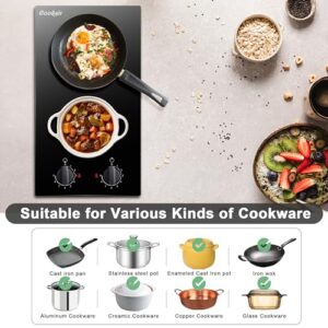 Cooksir 2 Burner Electric Cooktop 12 inch, 3000W Electric Stove Top 220-240V, Built-in Electric Stovetop with 9 Power Level, Knob Control, Auto Shut Down Protection, Hard Wired (No Plug)