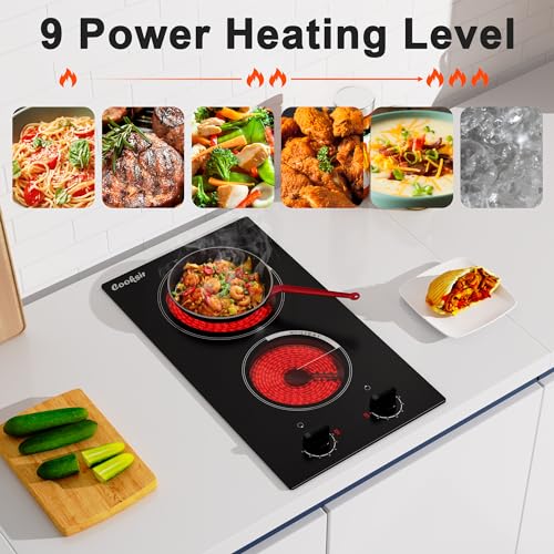 Cooksir 2 Burner Electric Cooktop 12 inch, 3000W Electric Stove Top 220-240V, Built-in Electric Stovetop with 9 Power Level, Knob Control, Auto Shut Down Protection, Hard Wired (No Plug)