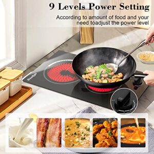 Cooksir 2 Burner Electric Cooktop 12 inch, 3000W Electric Stove Top 220-240V, Built-in Electric Stovetop with 9 Power Level, Knob Control, Auto Shut Down Protection, Hard Wired (No Plug)