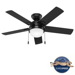 Hunter Fan Company 51455 Zeal Ceiling Fan, 44, Black