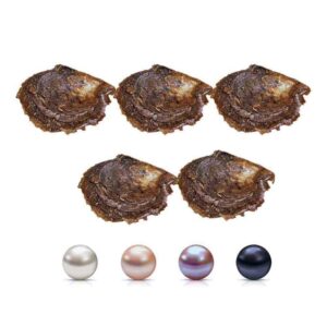 lgsy 7-8mm mixed colored akoya saltwater cultured pearl oysters for diy jewelry making, pack of 5pcs(white, pink, purple, black)