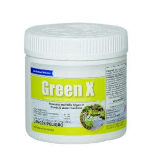 Green X – 1lb - String Algae Remover for Koi Ponds, Fountains, Waterfalls, Water Features- Safe for Fish Contact Algae Control- Treats up to 16,000 Gallons - Concentrated Granular Algaecide