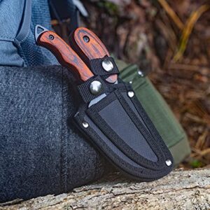 Maxam Fixed Blade Hunting Knife Set – Full Tang - 6 Inch Skinning Knife & 7 Inch Caping Knife -Includes Sheath - 2-Pieces