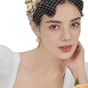 BABEYOND 1920s Fascinator Mesh Flower Pearl Veil Headband Bridal Wedding Tea Party Fascinator Veil for Women