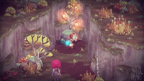 The Wild at Heart (Nintendo Switch)