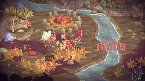 The Wild at Heart (Nintendo Switch)