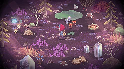 The Wild at Heart (Nintendo Switch)