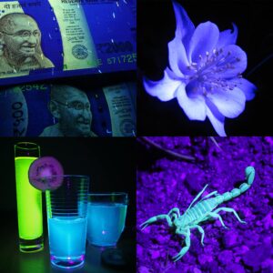 GREENIC USB Led Black Light Lamp, 10W Portable UV Blacklight, Glow in The Dark for Party Supplies, Bedroom Room Decor, Posters, Body Paint, Halloween Decorations, Urine, Scorpion Detection