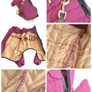 Warm Dog Coat Double Layers Dog Vest, 4 Legs Covered Windproof Waterproof Reflective Warm Dog Vest Outdoor Skating Dog Costume for Small Medium Large Dogs Purple XXL