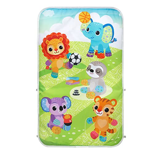 VTech Kick and Score Playgym (Frustration Free Packaging)