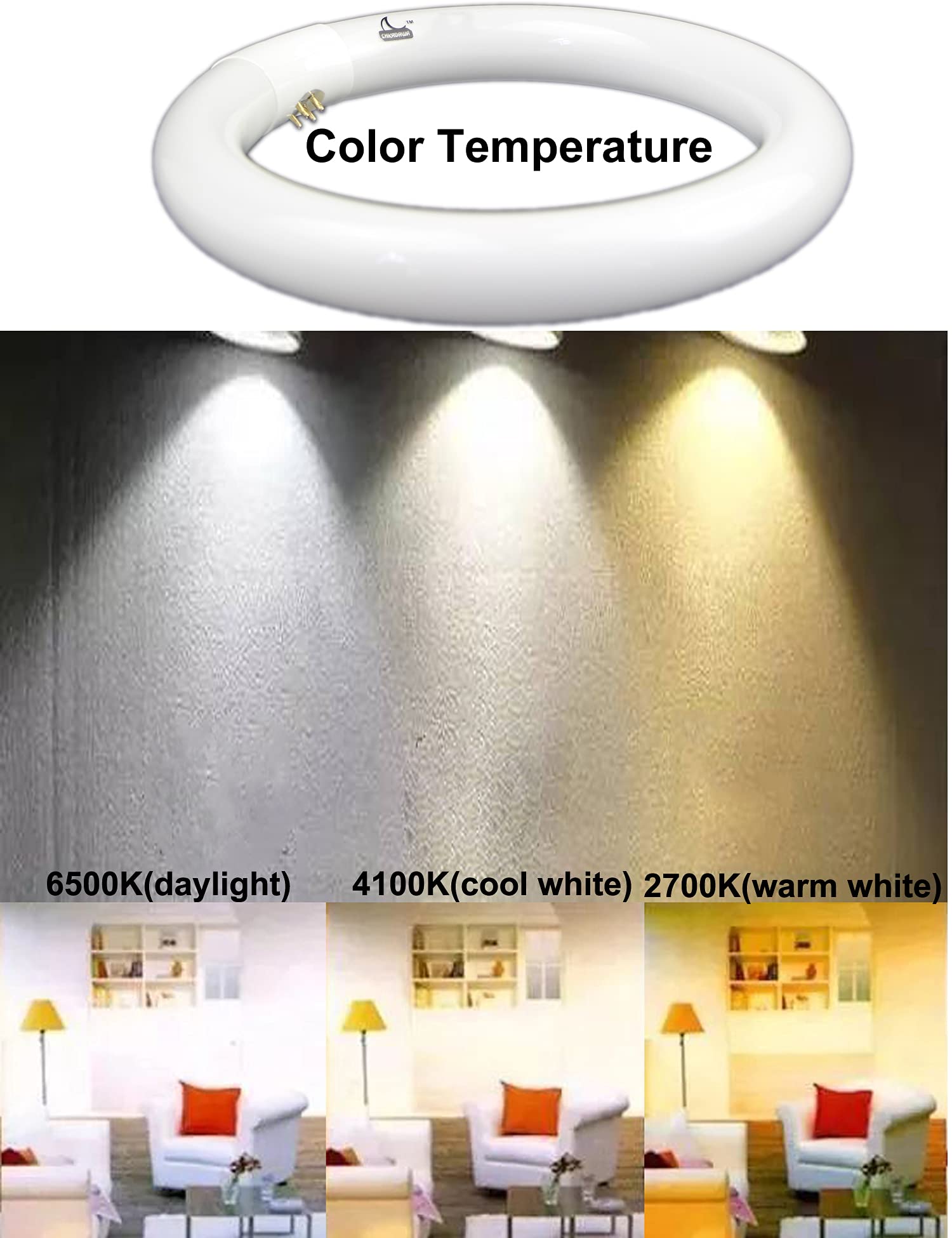 CHKADAWA FC12T9/CW 32W Cool White Round Fluorescent Light Bulb, 12 Inch T9 32 Watts Circular Bulbs, 12'' FCL 32 Circline Bulb 4100K 841, G10q 4 Pin Prong Base, 2 Pack